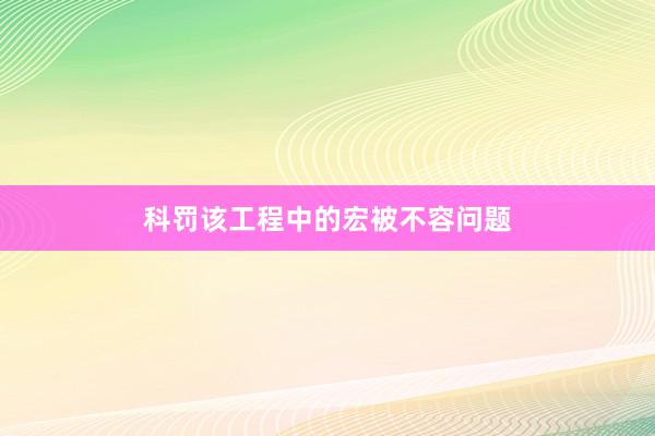 科罚该工程中的宏被不容问题